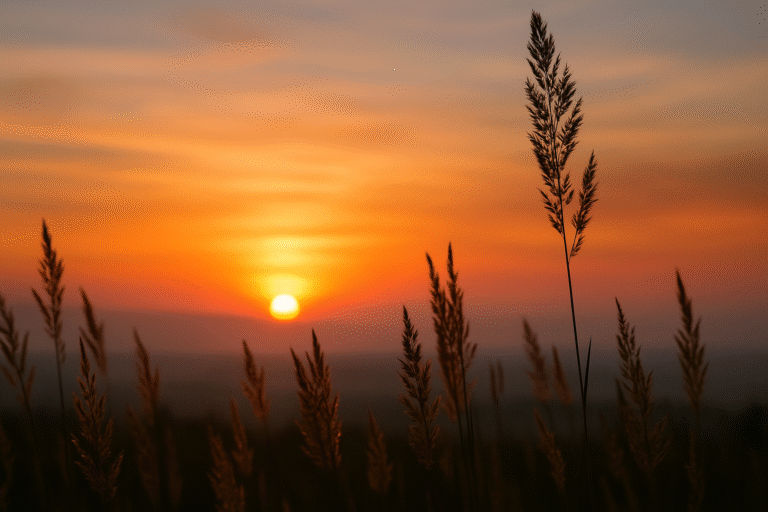 A wide, tranquil sunset over a still body of water, with soft golden light reflecting on gentle ripples beneath an open sky — evoking calm and quiet presence.